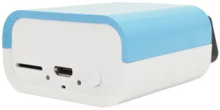 Troodon OBD Basic Diagnostics